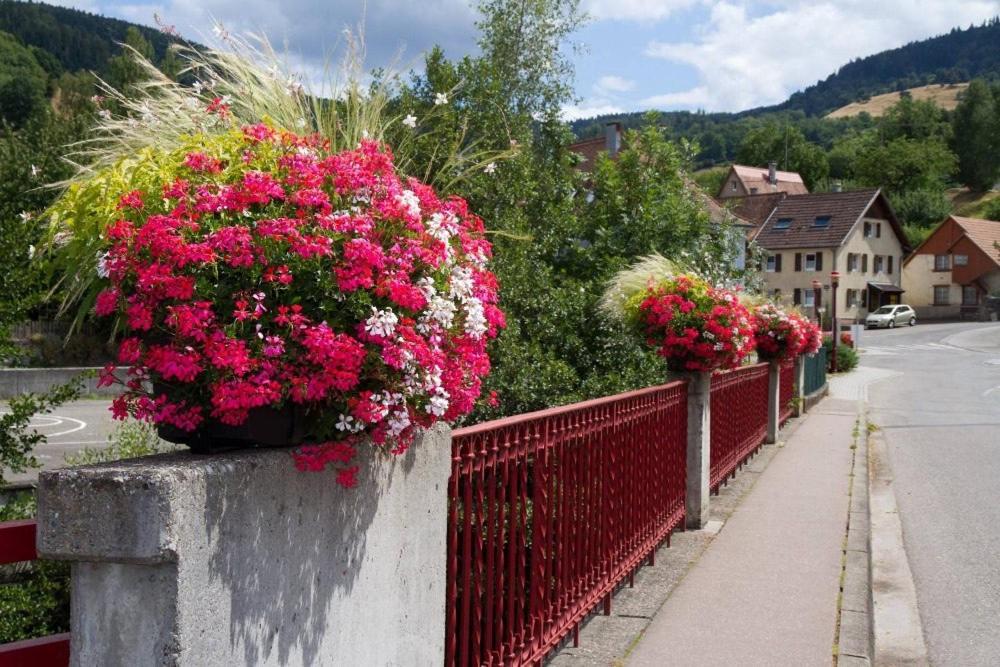 Gite Chez Vero Breitenbach-Haut-Rhin Exterior foto